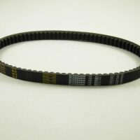 Belt 10042