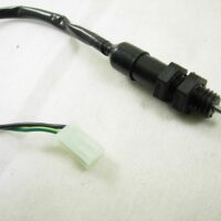 Brake Switch(foot) 10442
