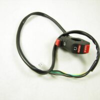 Kill Switch/electric Start Switch 92313