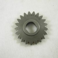 Water Pump Gear 91975