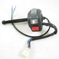 Kill Switch/electric Start Switch 91988