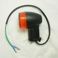 Signal Light Assembly (rear) Set 10741