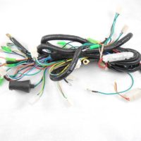 Wire Harness 92499
