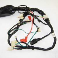 Main Wire Harness 11300