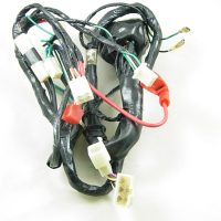 Main Wire Harness 11303