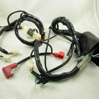 Main Wire Harness 11304