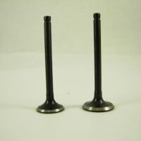 Intake And Exhaust Valve Set 11504