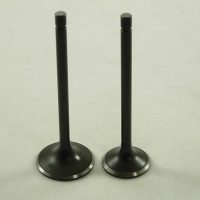 Intake And Exhaust Valve Set 11516