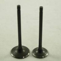 Intake And Exhaust Valve Set 11517