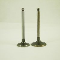 Intake And Exhaust Valve Set 11524