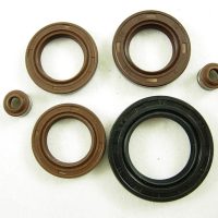 Engine Seal Set 90570