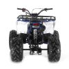 Apollo Commander 125 DLX Youth ATV - Rear
