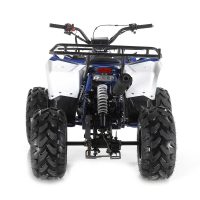 Apollo Commander 125 DLX Youth ATV - Rear