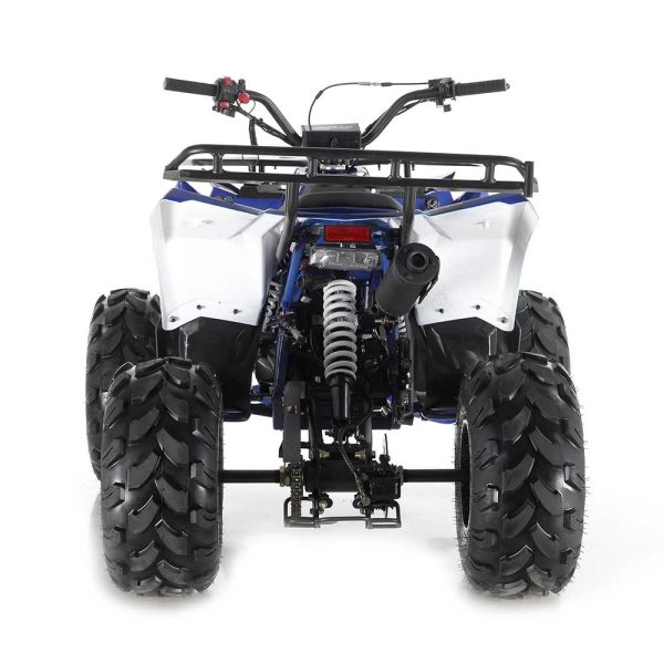Apollo Commander 125 DLX Youth ATV - Rear