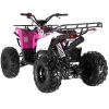 Apollo Commander 125 Mid-Size Youth ATV - Rear