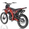 Apollo DB-36 Full Size Adult Dirt Bike - rear view