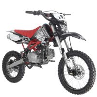 Apollo DB-X19 125cc Dirt Bike - Red/Grey