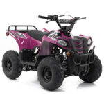 Apollo Mini Commander 110 Kids UTV - Purple