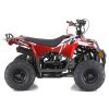 Apollo Mini Commander 110 Kids UTV - Right