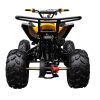 Coolster 3125C-2 125cc Youth ATV - Rear