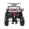 Coolster 3125R Youth Utility ATV - rear