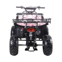 Coolster 3125R Youth Utility ATV - rear