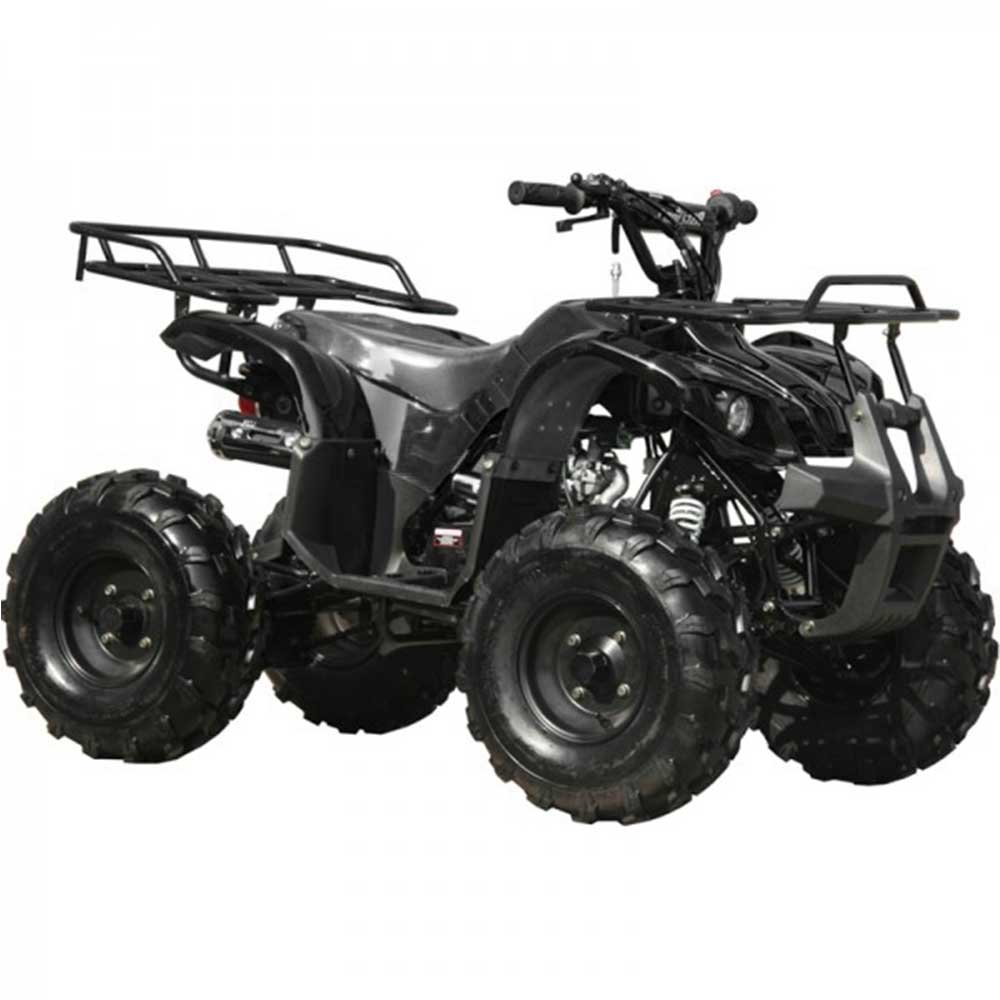 スパロー/エアーサルト 5’8″ 27L Coolster 125cc 3125XR8 Ultimate Mid Size ATV