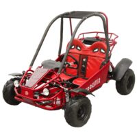 Coolster GK-6125 125cc Kids GoKart