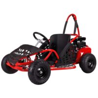 Pure Fun World 79cc Kids Gas Go-Kart