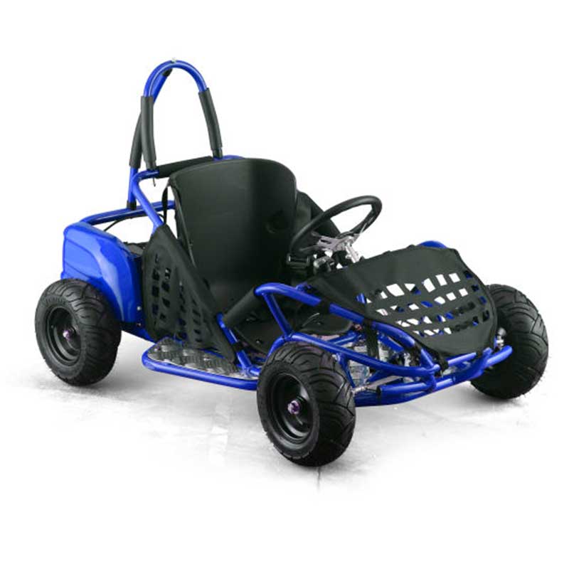 Preços baixos em Electric Go Kart