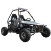 Vitacci DLX 200cc Full Size Batman GoKart - Black