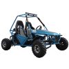 Vitacci DLX 200cc Full Size Batman GoKart - Blue