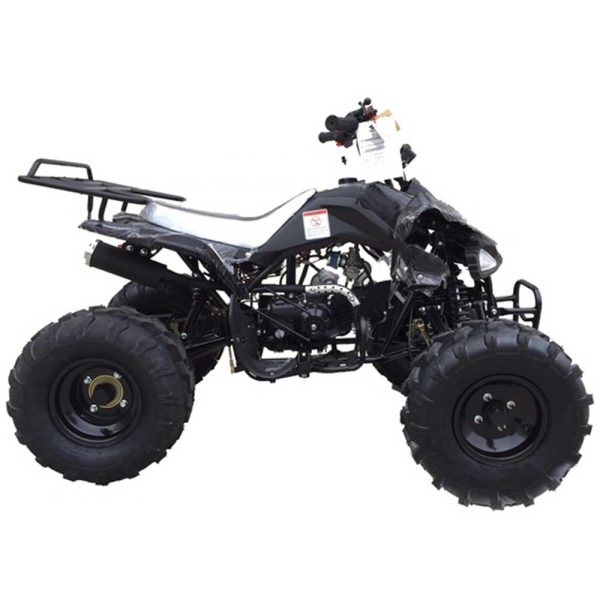 Tao Cheetah ATV - Right