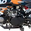 Tao DB17 125cc Dirt Bike - engine detail