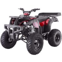 Tao Rhino 250 Youth ATV