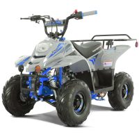 ATVs, Quads and 4-Wheelers