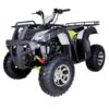 TaoTao Bull 200 Utility ATV - Green