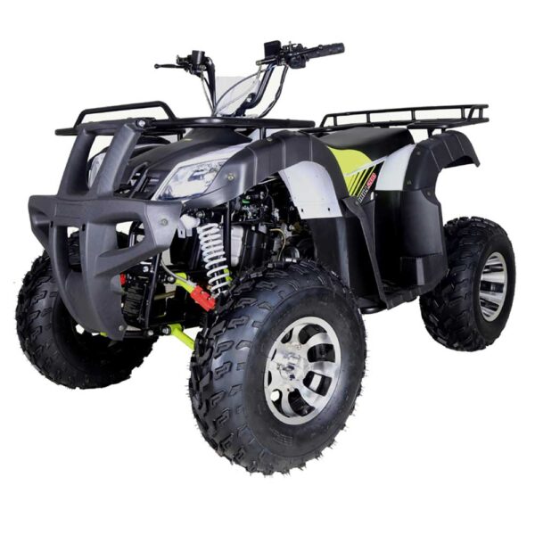 TaoTao Bull 200 Utility ATV - Green