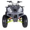 TaoTao Bull 200 Utility ATV - Front