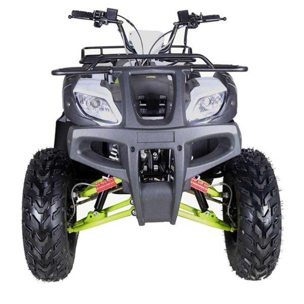TaoTao Bull 200 Utility ATV - Front