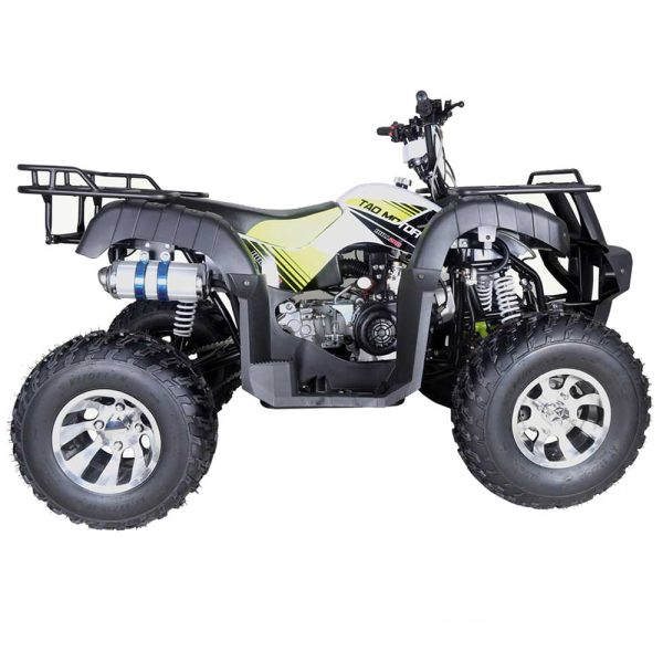 TaoTao Bull 200 Utility ATV - Right