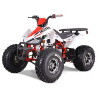Tao Cheetah Platinum 120cc ATV