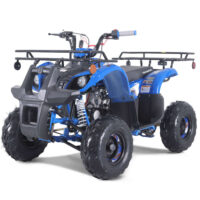 Tao D125 Youth Utility ATV