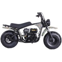 TaoTao DB200 Baja Mini Bike - side view
