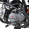 TaoTao DB27 Mid Size Dirt Bike - Engine detail view