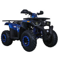 TaoTao G200 Utility ATV - Blue
