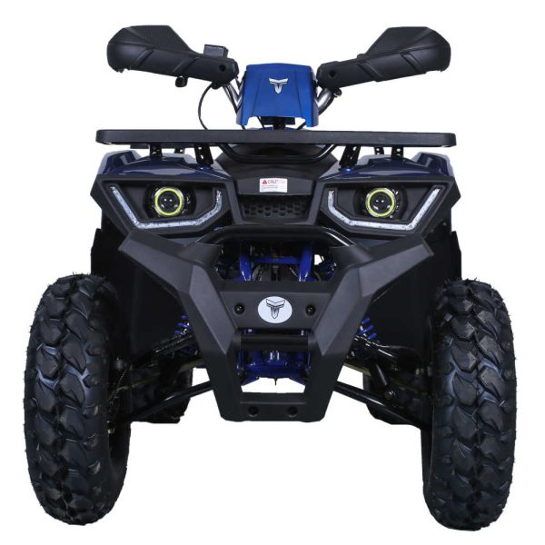 TaoTao G200 Utility ATV - Front