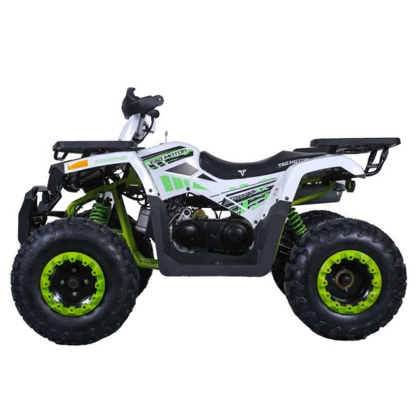 TaoTao G200 Utility ATV - Left