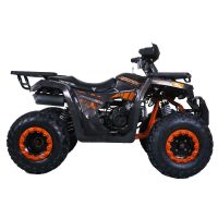 TaoTao G200 Utility ATV - Right