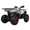 TaoTao G200 Utility ATV - Rear